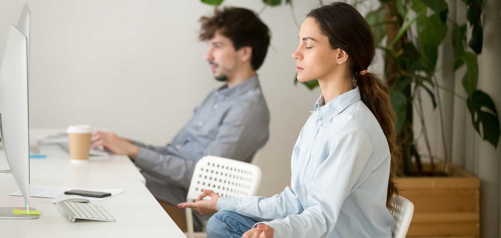 Program de wellness corporativ